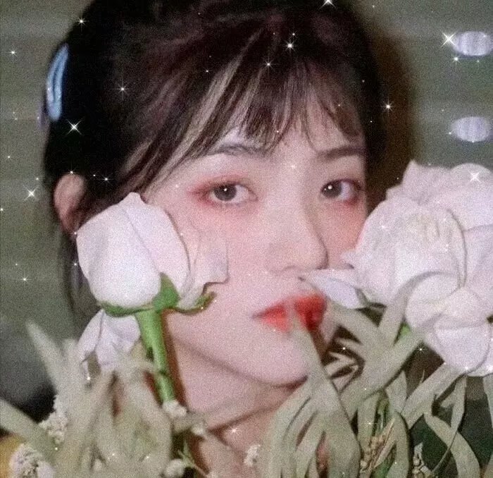 海边的朝日与骗子们